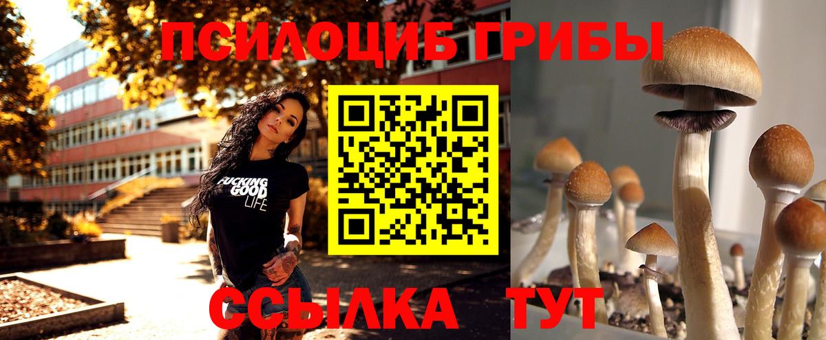 Галлюциногенные грибы мицелий  Вход с VPN  Усолье-Сибирское 